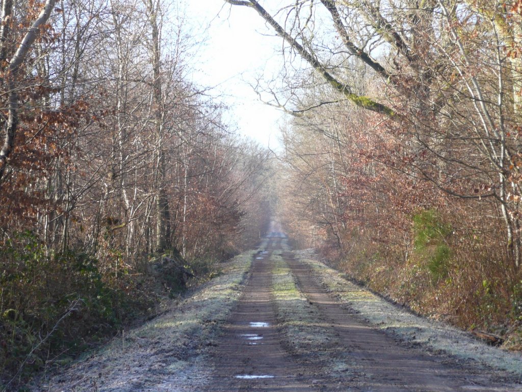 P1280441 [Résolution de l'écran]